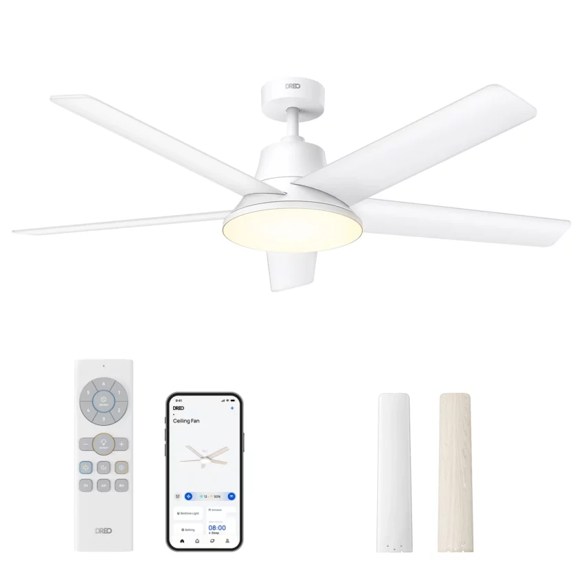 Smart Ceiling Fan CLF521S