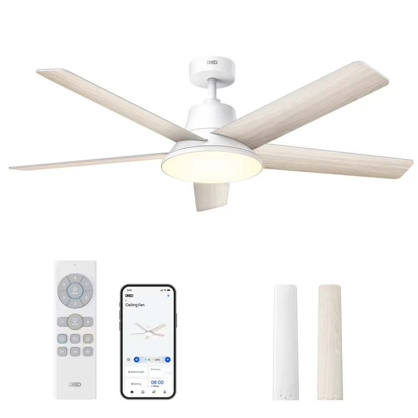 Smart Ceiling Fan CLF521S