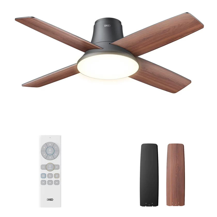 Ceiling Fan CLF513