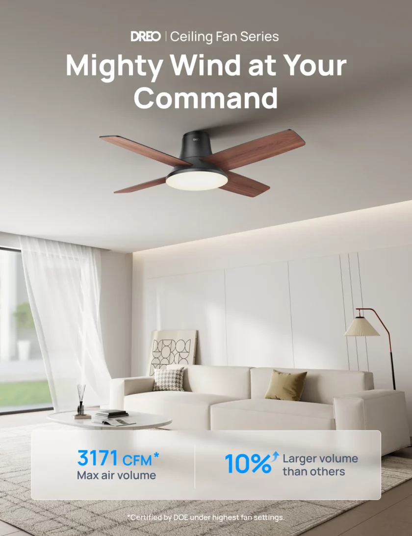 Ceiling Fan CLF513